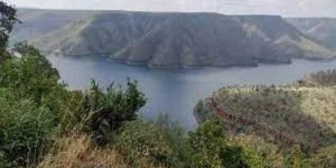 Octopus View Point